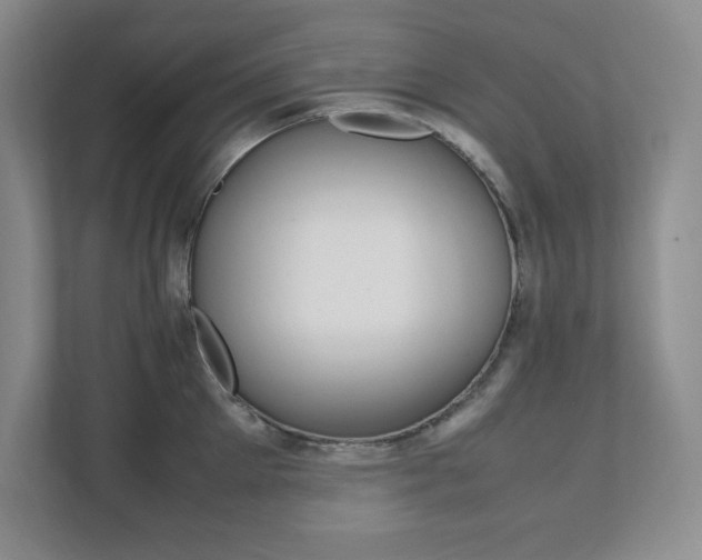 X0000112040905200908031040