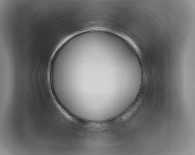 X0000112040910200908031040