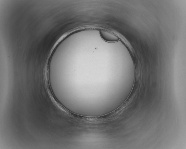 X0000112040911200908031040