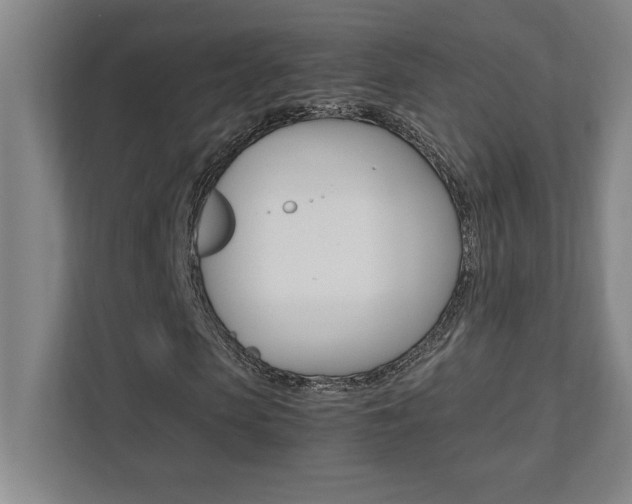 X0000112040913200908031039