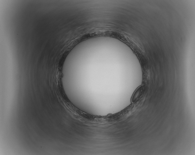 X0000112040914200908031039