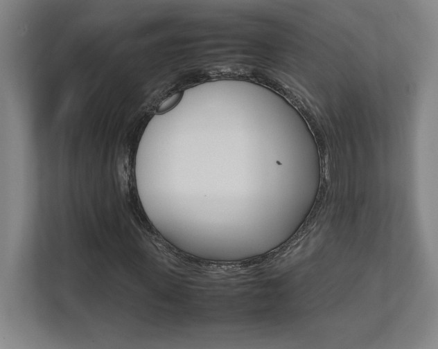 X0000112040915200908031039