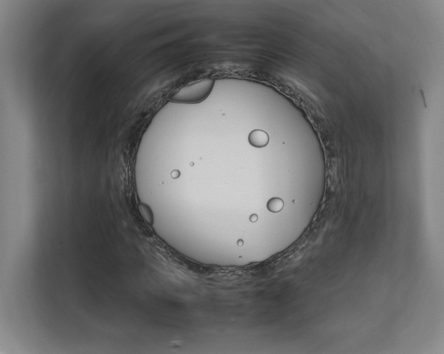 X0000112040917200908031039
