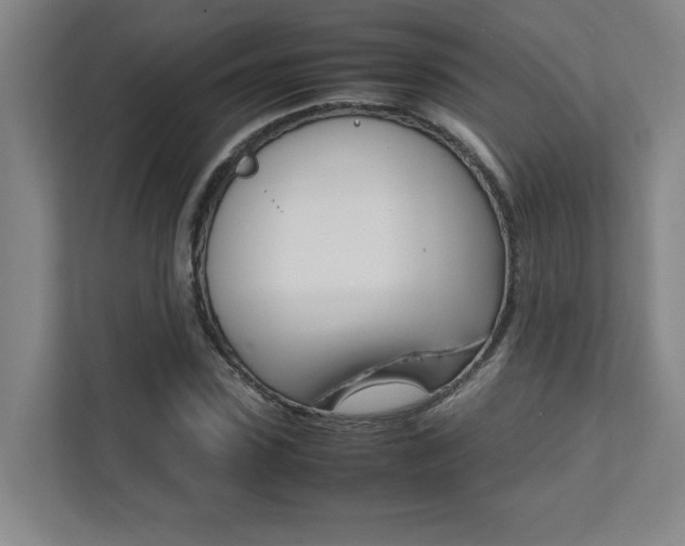 X0000112040923200908031039