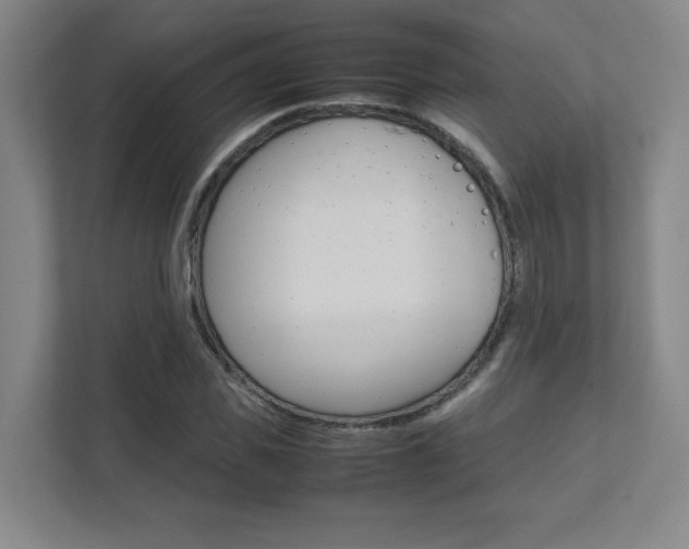 X0000112040925200908031039