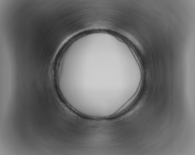 X0000112040926200908031039