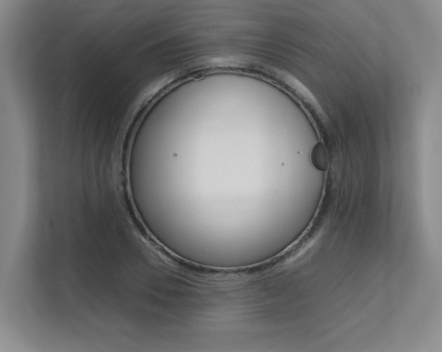X0000112040930200908031039