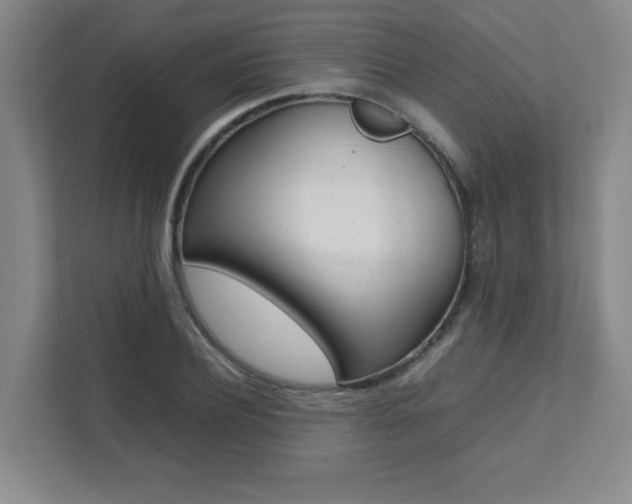 X0000112040932200908031039