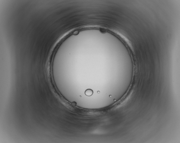 X0000112040933200908031039