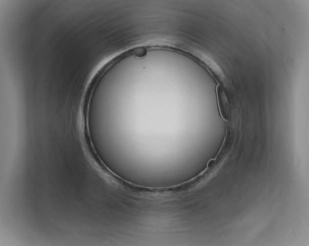X0000112040936200908031039