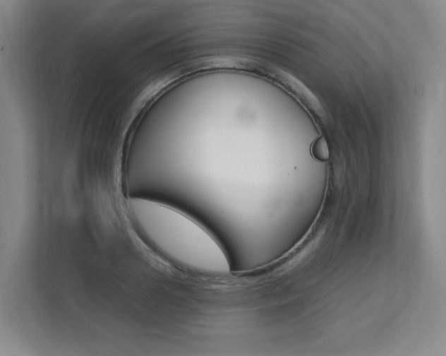 X0000112040938200908031039