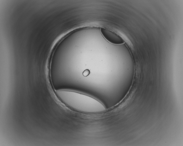 X0000112040944200908031039