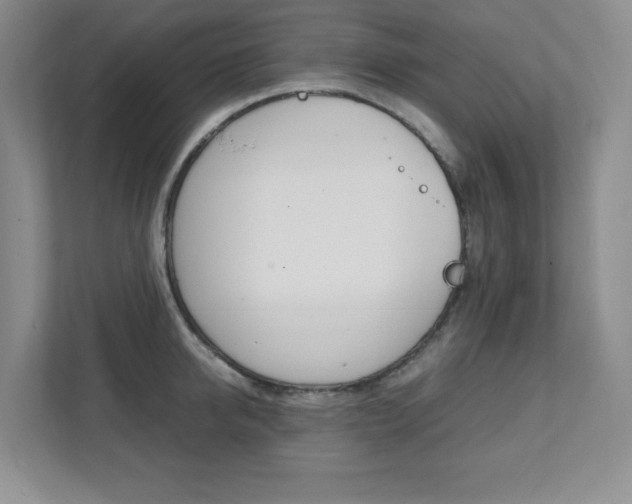 X0000112040950200908031039