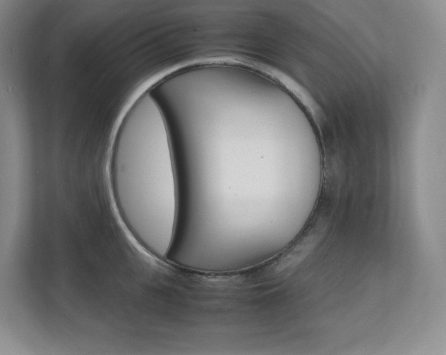 X0000112040951200908031039
