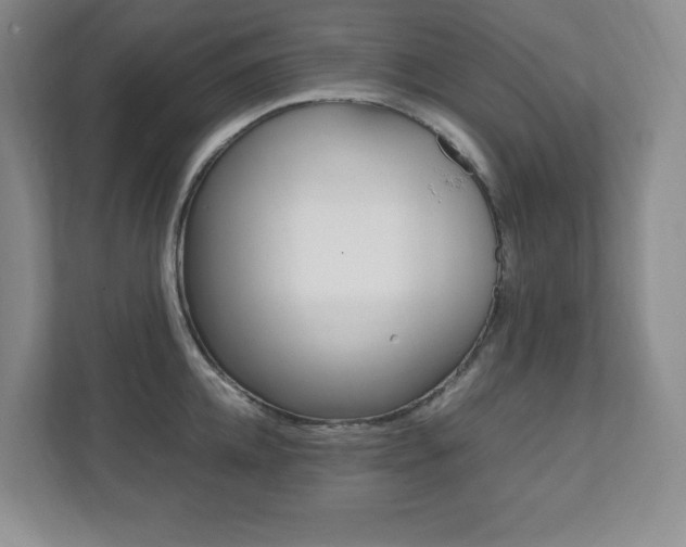 X0000112040952200908031039