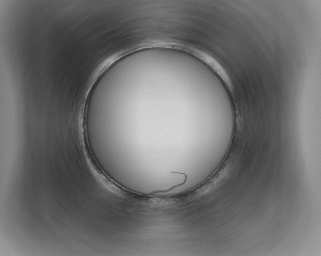 X0000112040954200908031039