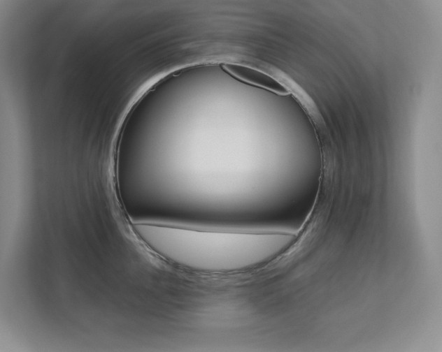 X0000112040956200908031039