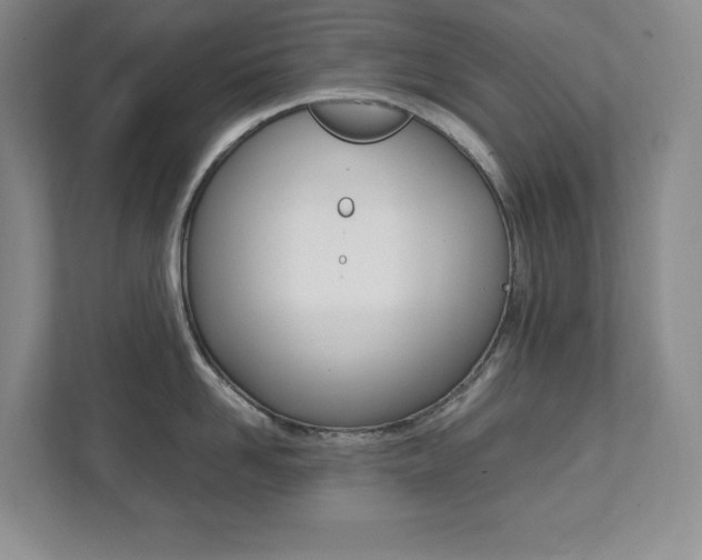 X0000112040958200908031039