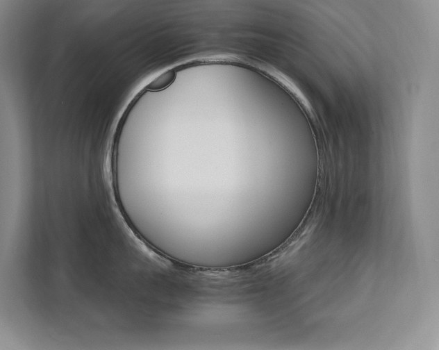 X0000112040959200908031039