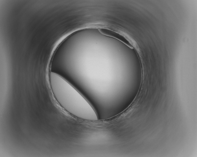 X0000112040960200908031039