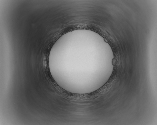 X0000112040962200908031039