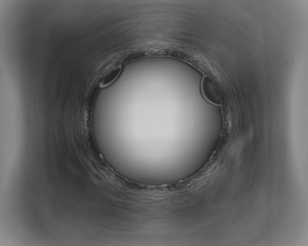 X0000112040964200908031039