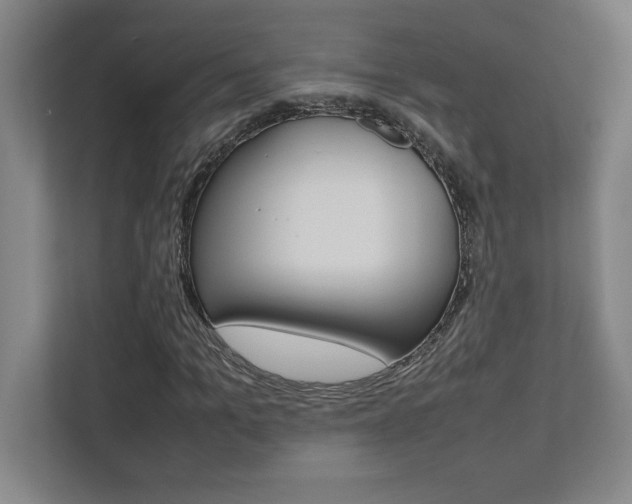 X0000112040965200908031039
