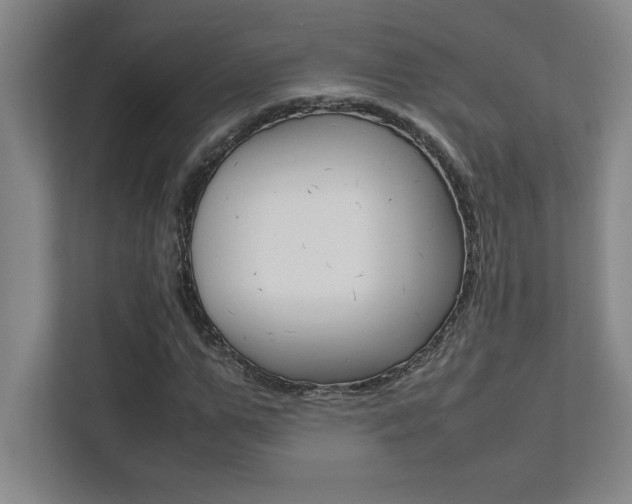 X0000112040967200908031039