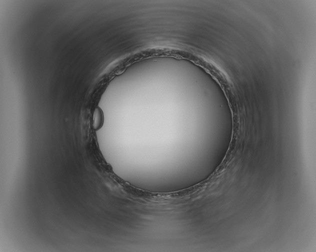 X0000112040968200908031039