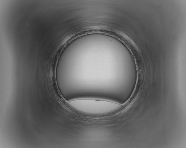 X0000112040969200908031039