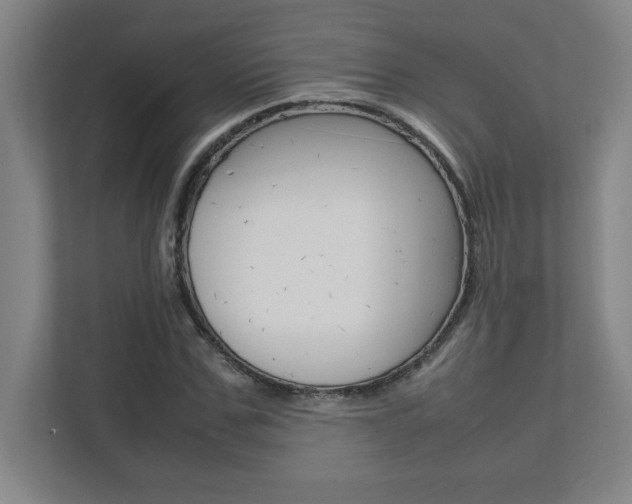X0000112040971200908031039