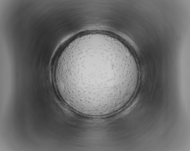 X0000112040974200908031039