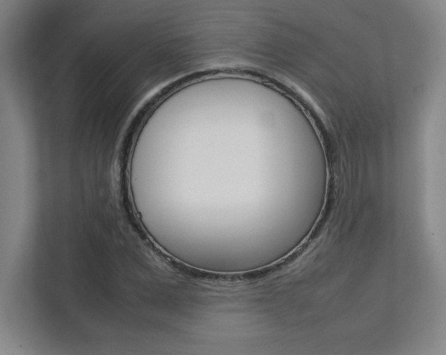 X0000112040975200908031039