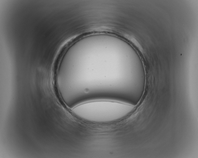 X0000112040979200908031039