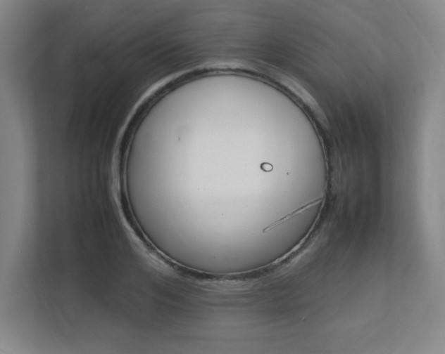 X0000112040984200908031039