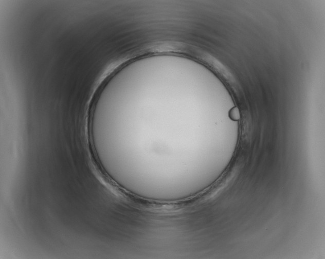 X0000112040986200908031039