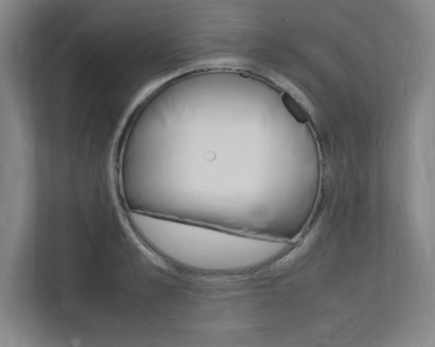 X0000112040989200908031039