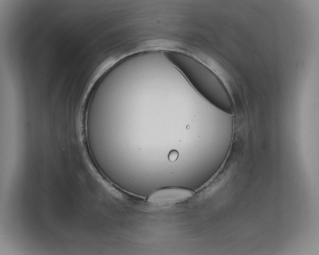 X0000112040997200908031038