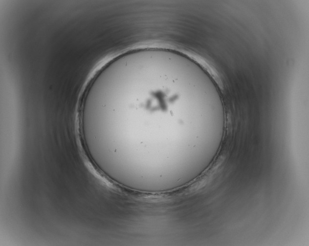 X0000112040998200908031038