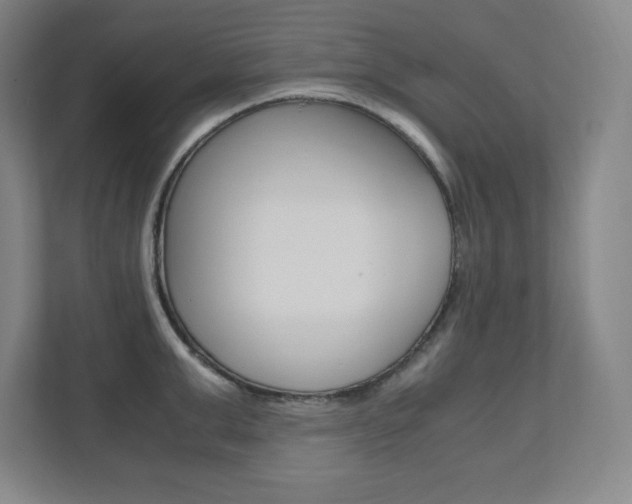 X0000112040999200908031038