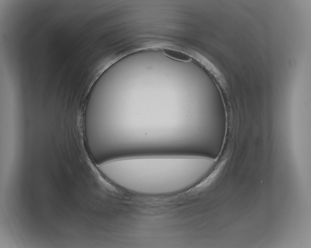 X0000112041001200908031038