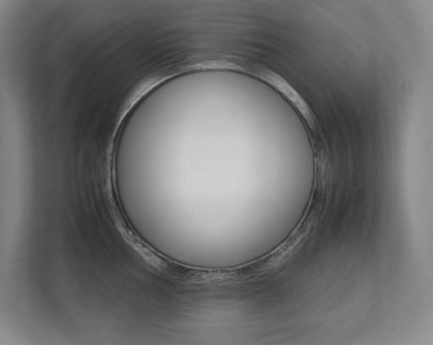 X0000112041002200908031038