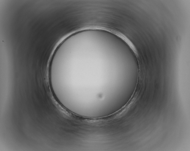 X0000112041004200908031038