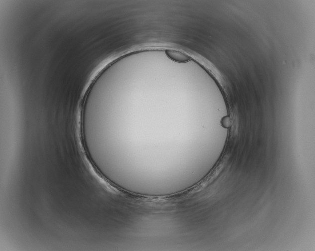 X0000112041006200908031038