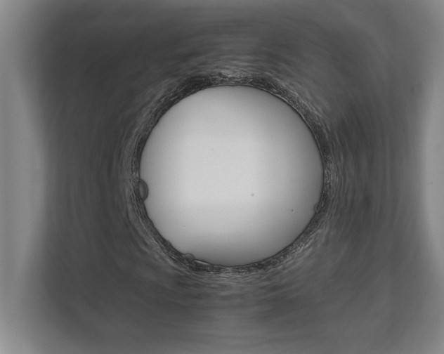 X0000112041009200908031038