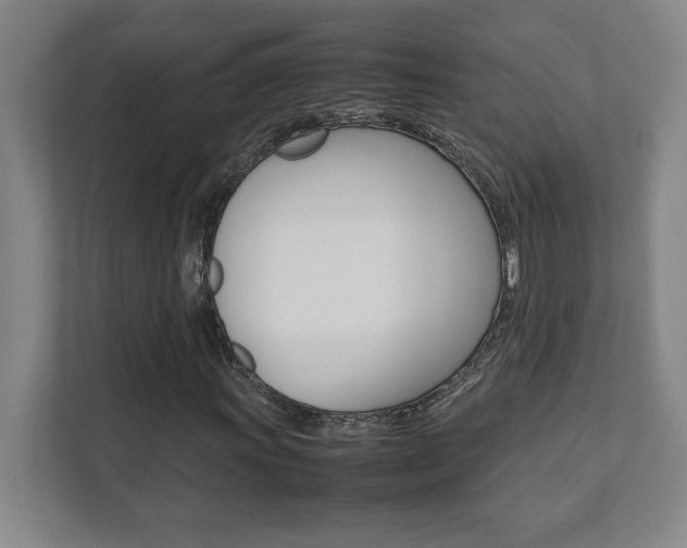 X0000112041011200908031038