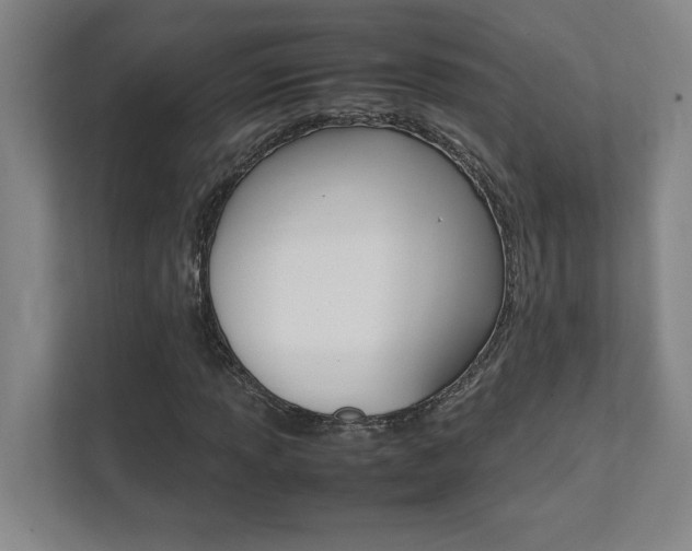 X0000112041013200908031038
