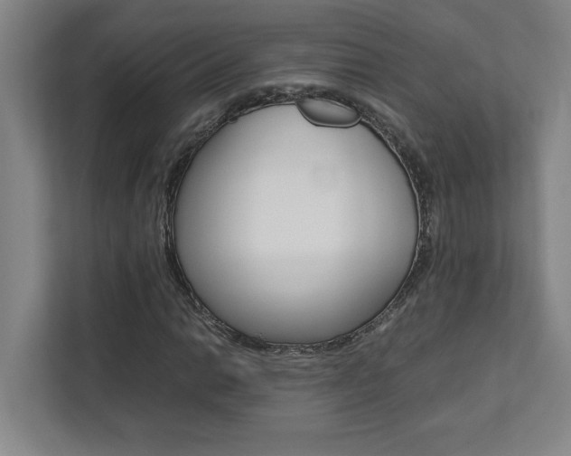 X0000112041014200908031038