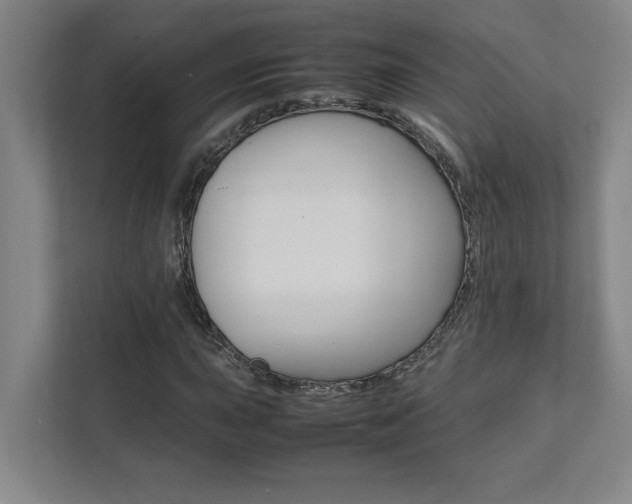X0000112041015200908031038