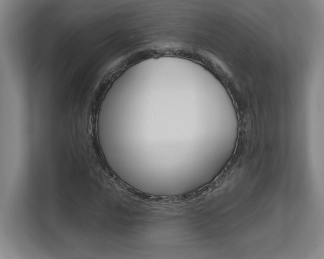 X0000112041016200908031038